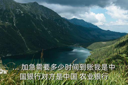 农业银行怎么加急