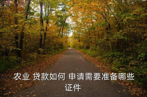 在农业怎么申请贷款,正规银行怎么申请贷款