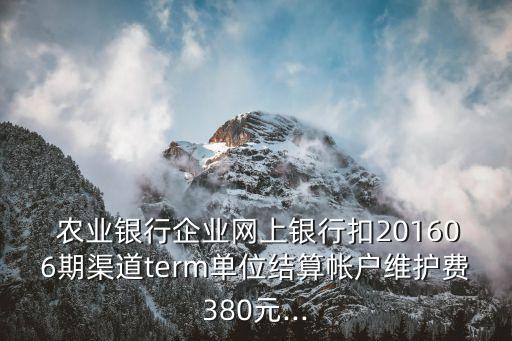 农业银行扩展程序什么意思