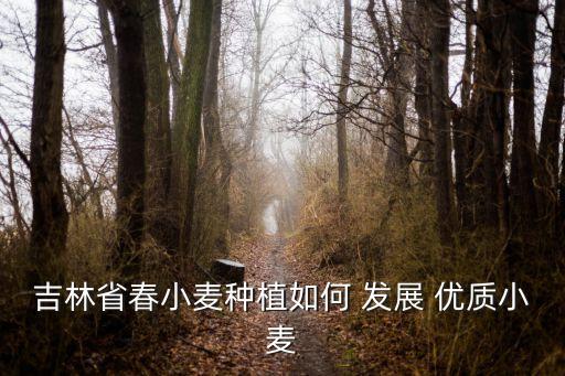 怎么样发展优质高效农业,高产优质高效生态安全农业
