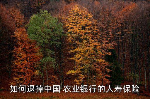 农业保险电子单怎么看退保
