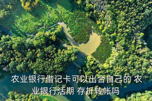  农业银行借记卡可以出合自己的 农业银行活期 存折转帐吗