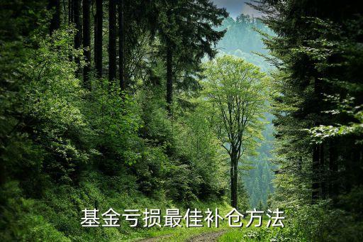基金加仓农业银行怎么操作,农业银行怎样买基金