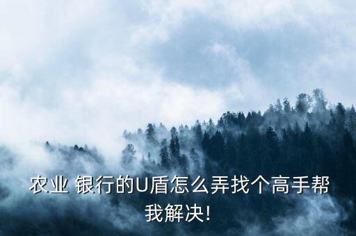 农业企业银行u盾怎么设置