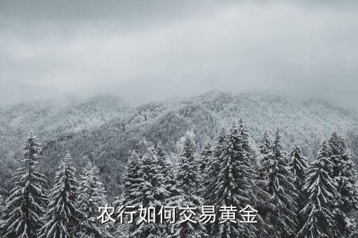 农业银行传世金怎么购买