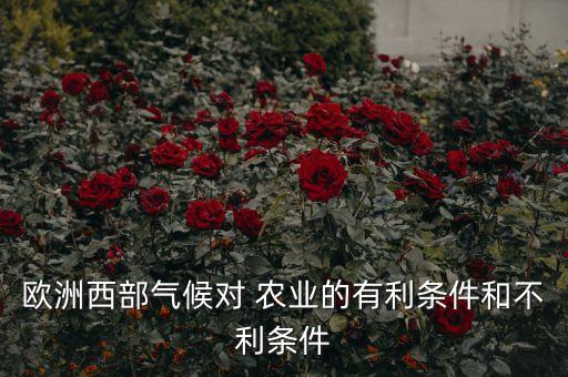 光照不足怎么发展农业