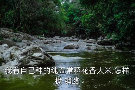 农业生产销路怎么找