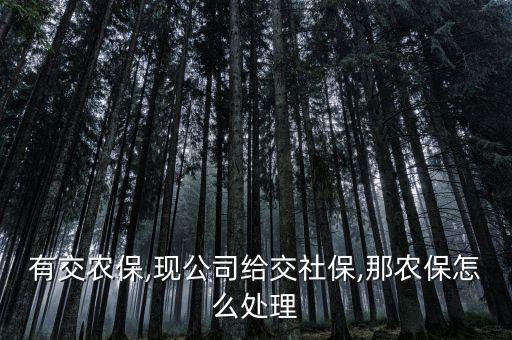 有交农保,现公司给交社保,那农保怎么处理