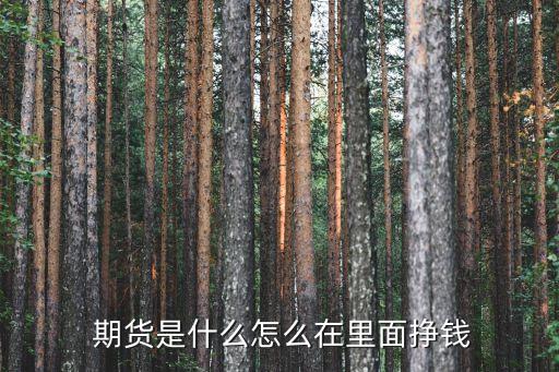 农业期货怎么赚差价的钱,期货怎么赚钱的