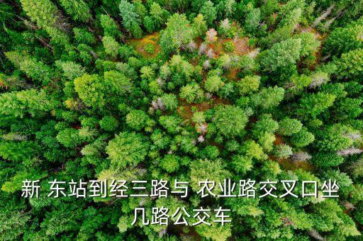 郑州东站到农业路站怎么走,南阳路农业路到郑州东站