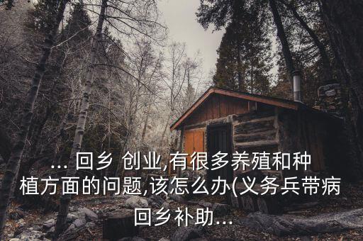 ... 回乡 创业,有很多养殖和种植方面的问题,该怎么办(义务兵带病 回乡补助...