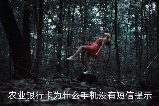  农业银行卡为什么手机没有短信提示