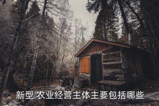  新型 农业经营主体主要包括哪些