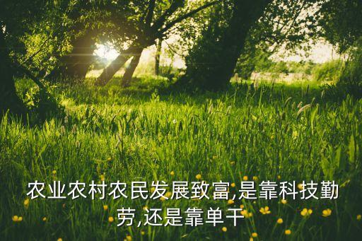 为什么农业好做,河南为什么是农业大省