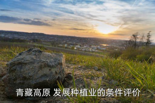 青藏高寒地区发展什么农业