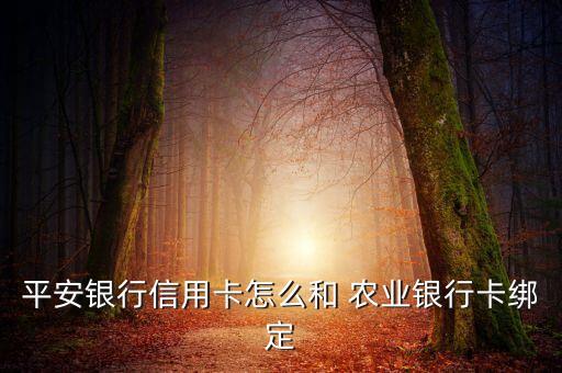 顺平农业银行怎么回事,农业银行单日限额1000怎么回事