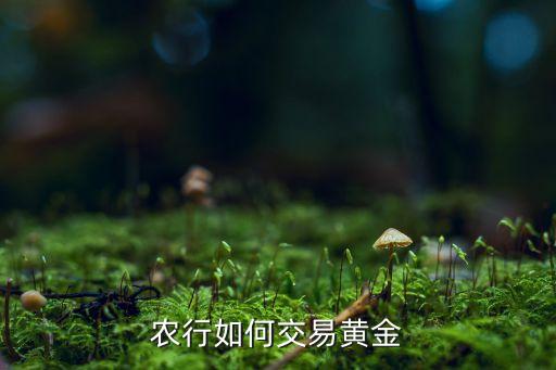 农业银行贵金属怎么购买