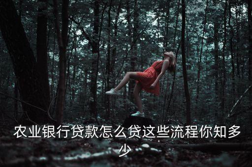 广西农业银行怎么借钱,农业银行app可以借钱吗