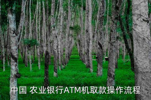 中国 农业银行ATM机取款操作流程