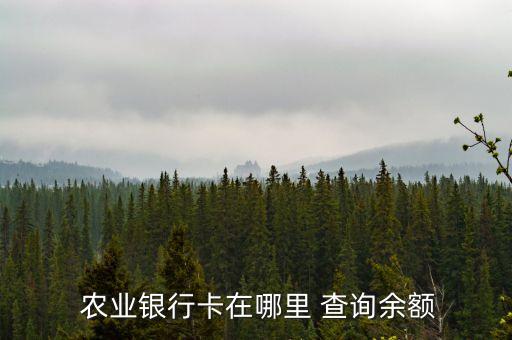农业银行账户查询怎么查