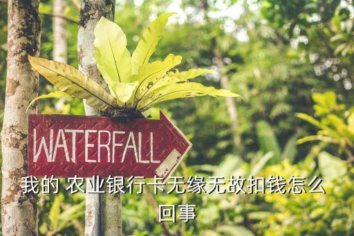 巨鹿农业银行怎么回事,农业银行单日限额1000怎么回事