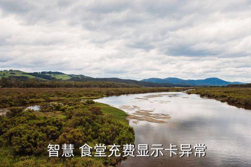 农业银行智慧食堂怎么充钱