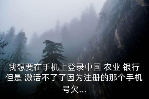 我想要在手机上登录中国 农业 银行但是 激活不了了因为注册的那个手机号欠...