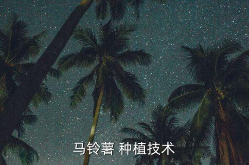农业种植洋芋怎么打虫药