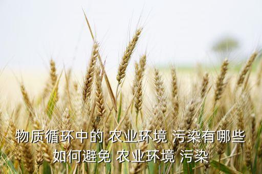 怎么治理农业垃圾堆积污染