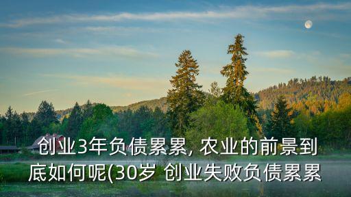  创业3年负债累累, 农业的前景到底如何呢(30岁 创业失败负债累累