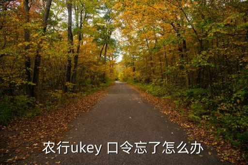 农业银行口令卡怎么查