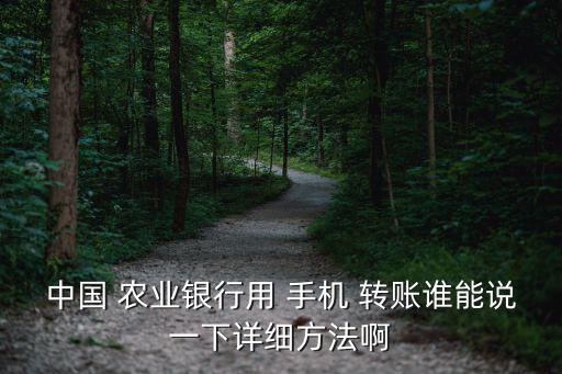 农业手机转账怎么转账,农业银行卡用手机怎么转账