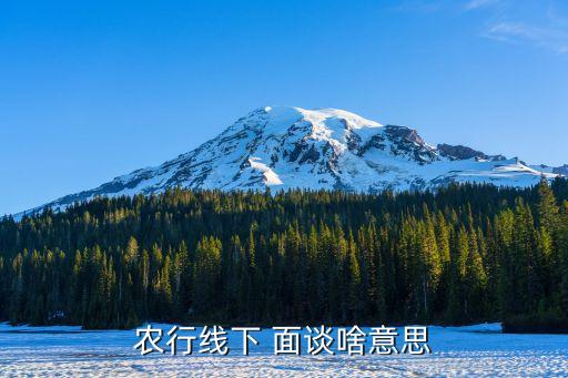 农行线下 面谈啥意思
