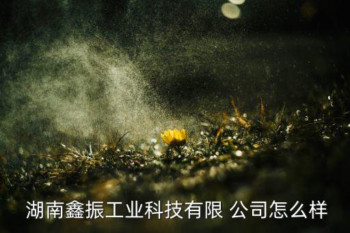湖南湘鑫农业公司怎么样,湖南最大的农业公司