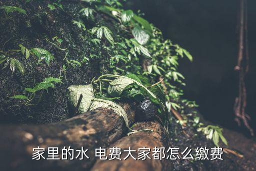 家里的水 电费大家都怎么缴费