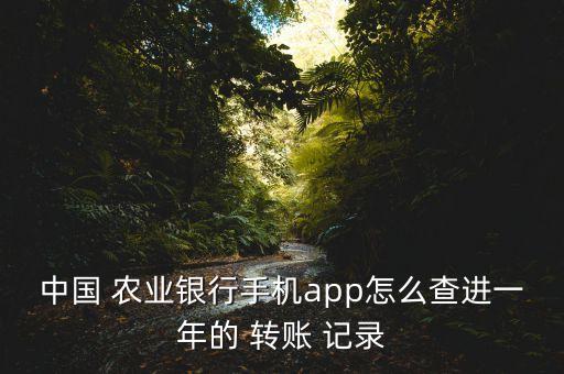 农业银行转账记录怎么查,银行账户转错了怎么追回
