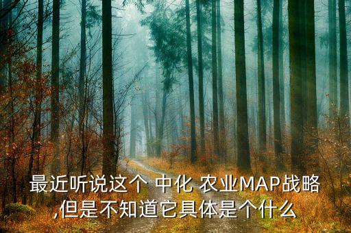最近听说这个 中化 农业MAP战略,但是不知道它具体是个什么