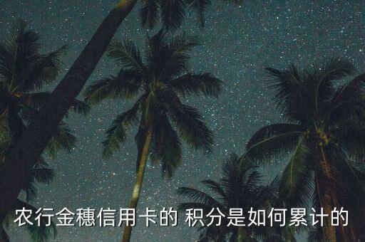 农业银行怎么积攒积分