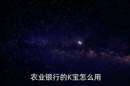 农业银行k宝支付是什么