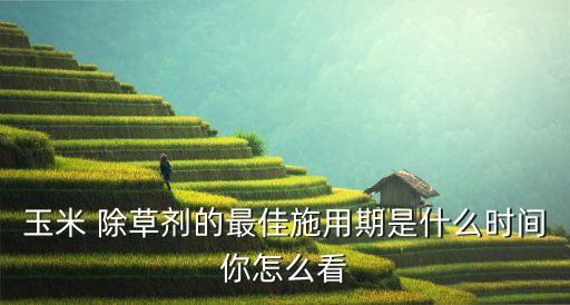 农业什么时候用除草剂,苗后除草剂什么时候打效果最好