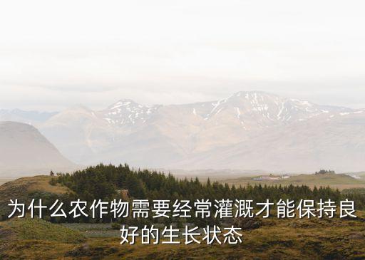 表面张力对农业有什么意义