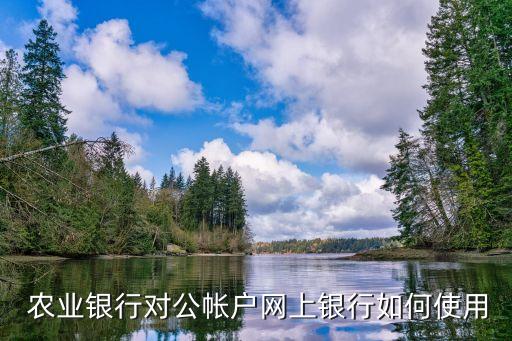 农业银行网页对账怎么操作