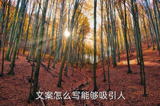 高效农业的文案怎么写啊