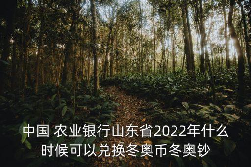 农业银行冬奥卡有什么用
