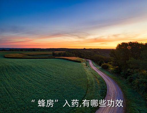 “ 蜂房”入药,有哪些功效