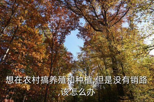 做农业怎么销售好赚钱,农资店如何赚钱