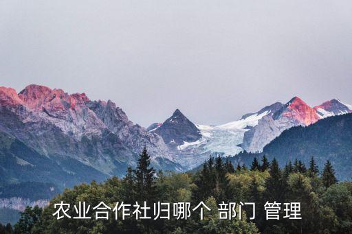  农业合作社归哪个 部门 管理
