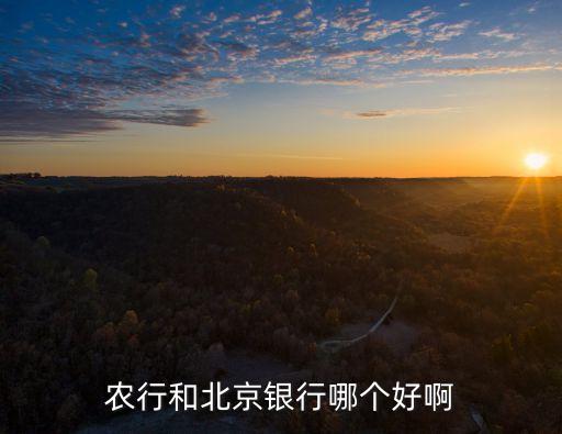 农业银行怎么没有年轻