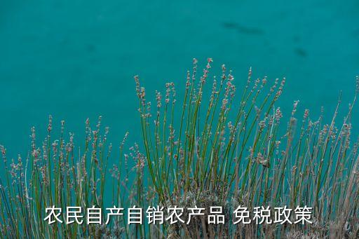 跨省农业怎么申请免税吗,一般纳税人销售农产品怎么申请免税