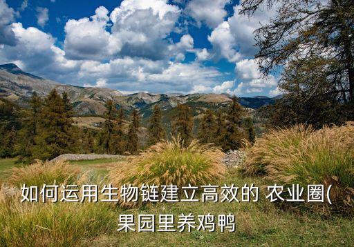 怎么样搞生态种养农业,兴业县雄瑞农业生态种养